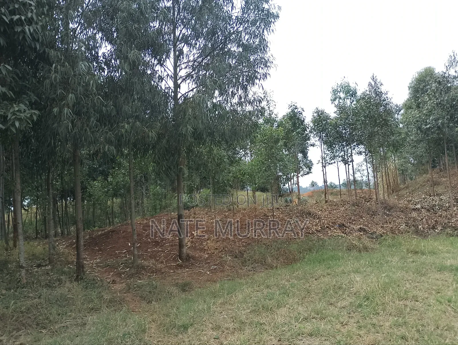 1acre Land for Sale Next to Tarmac
