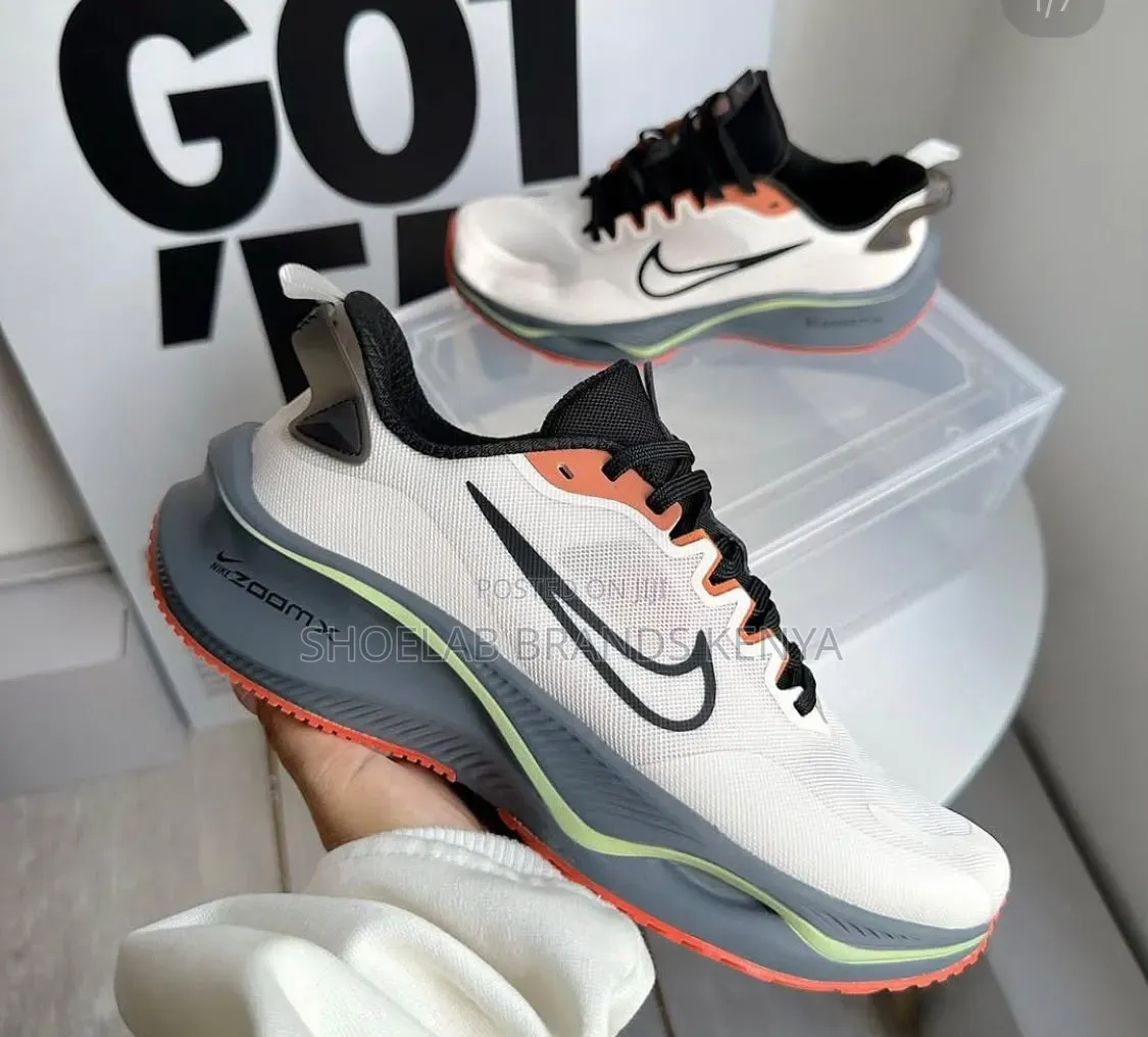 Nike Zoom Asics Trainers
