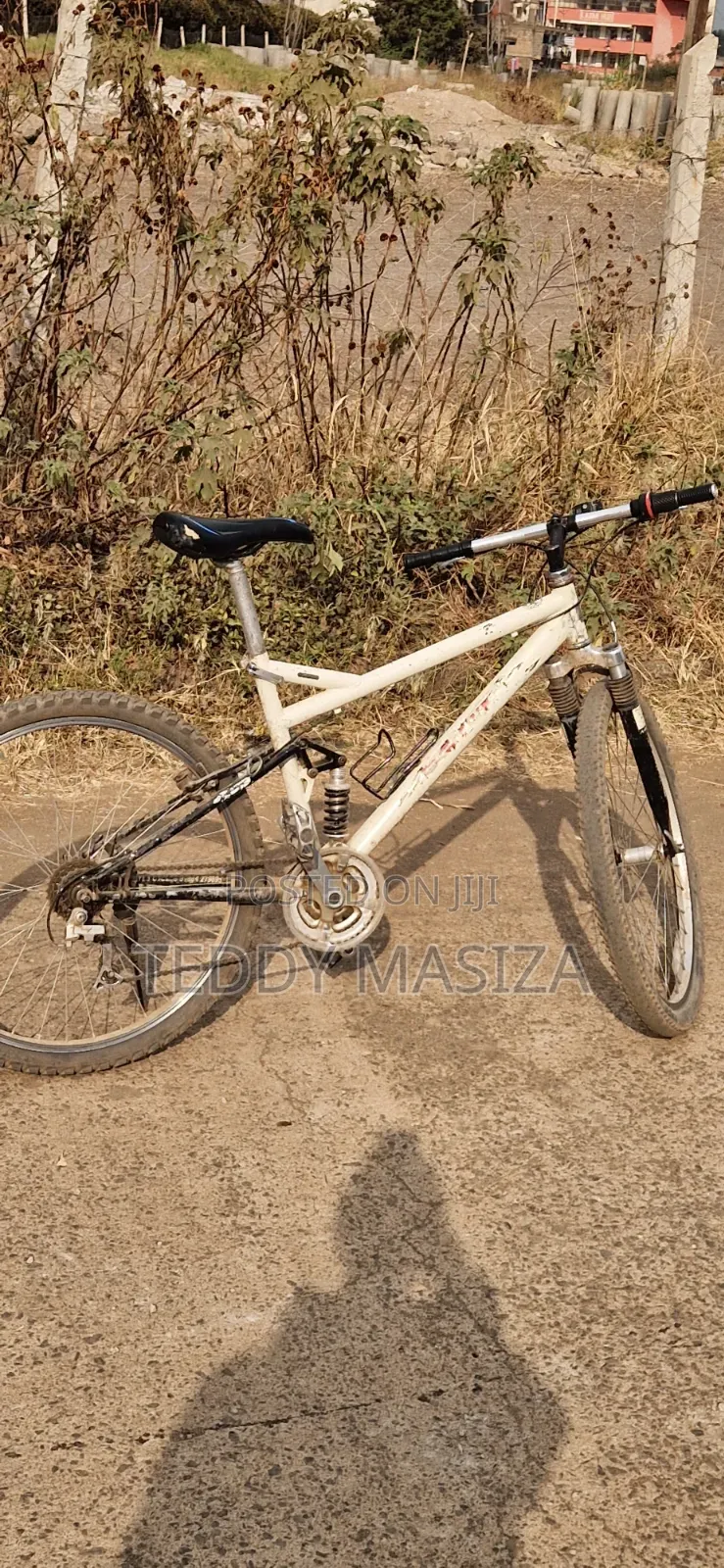 Down Hill Bike