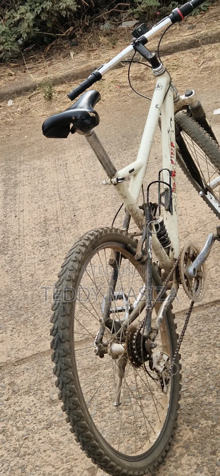 Down Hill Bike