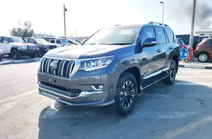 Toyota Land Cruiser Prado 2020 Gray