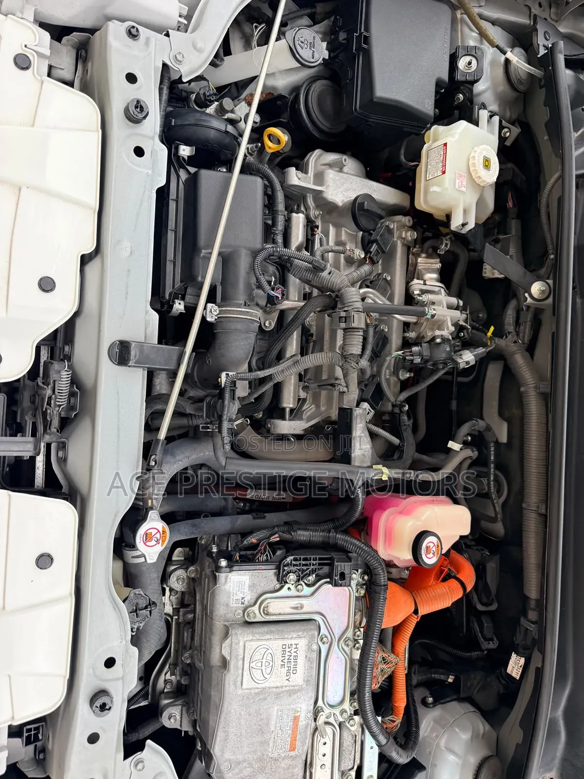 Toyota Succeed 2019 White