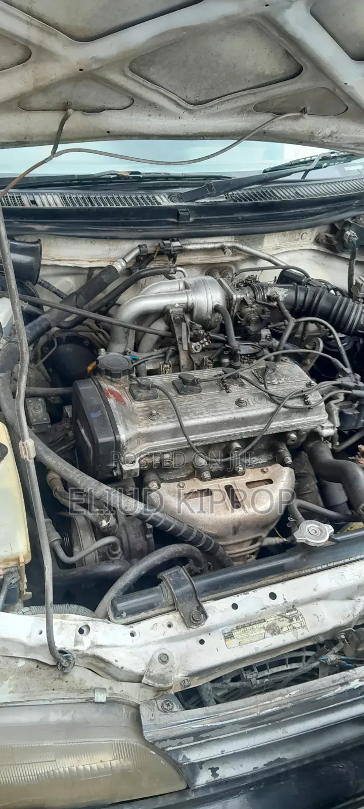 Toyota Corolla 1998 White