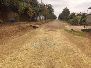 1/8 Acre Jacaranda Estate