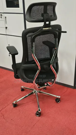 ErgoPro Orthopedic Office Chair