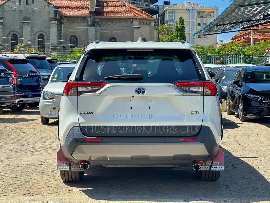 Toyota RAV4 LE AWD 2019 Pearl