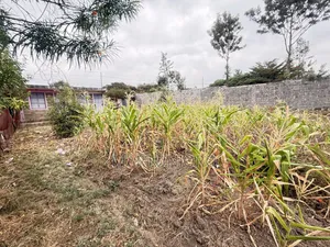 1/4 Acre Ruai