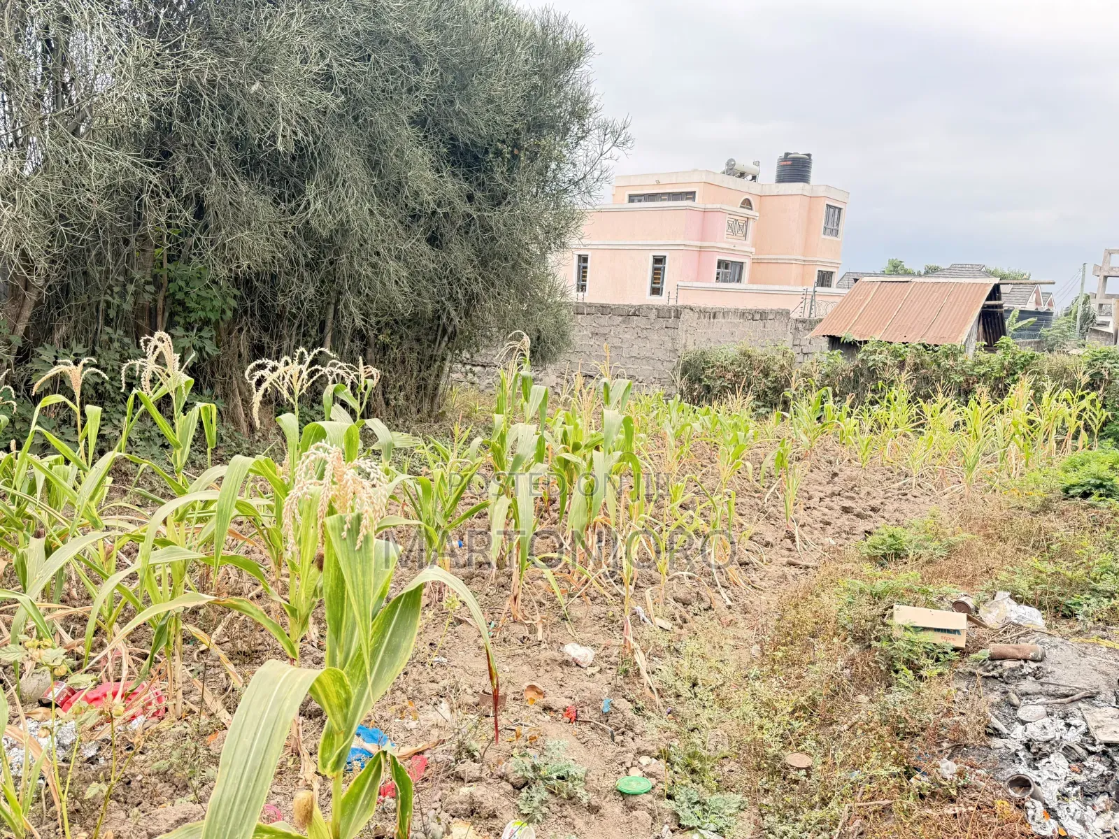 1/4 Acre Ruai