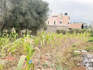 1/4 Acre Ruai