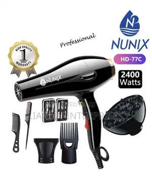 Professional Hair Blow Dryer