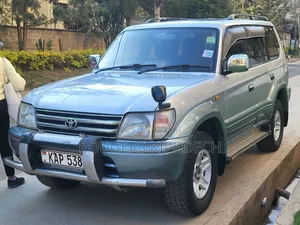 Toyota Land Cruiser Prado 1995 Gray