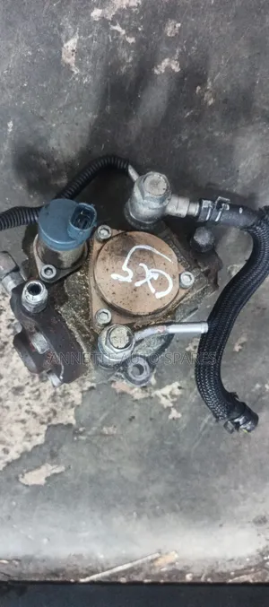 Fuel Injector Pump CX5