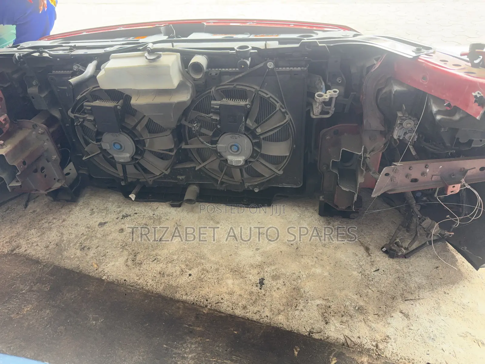 Mazda Atenza Nosecut