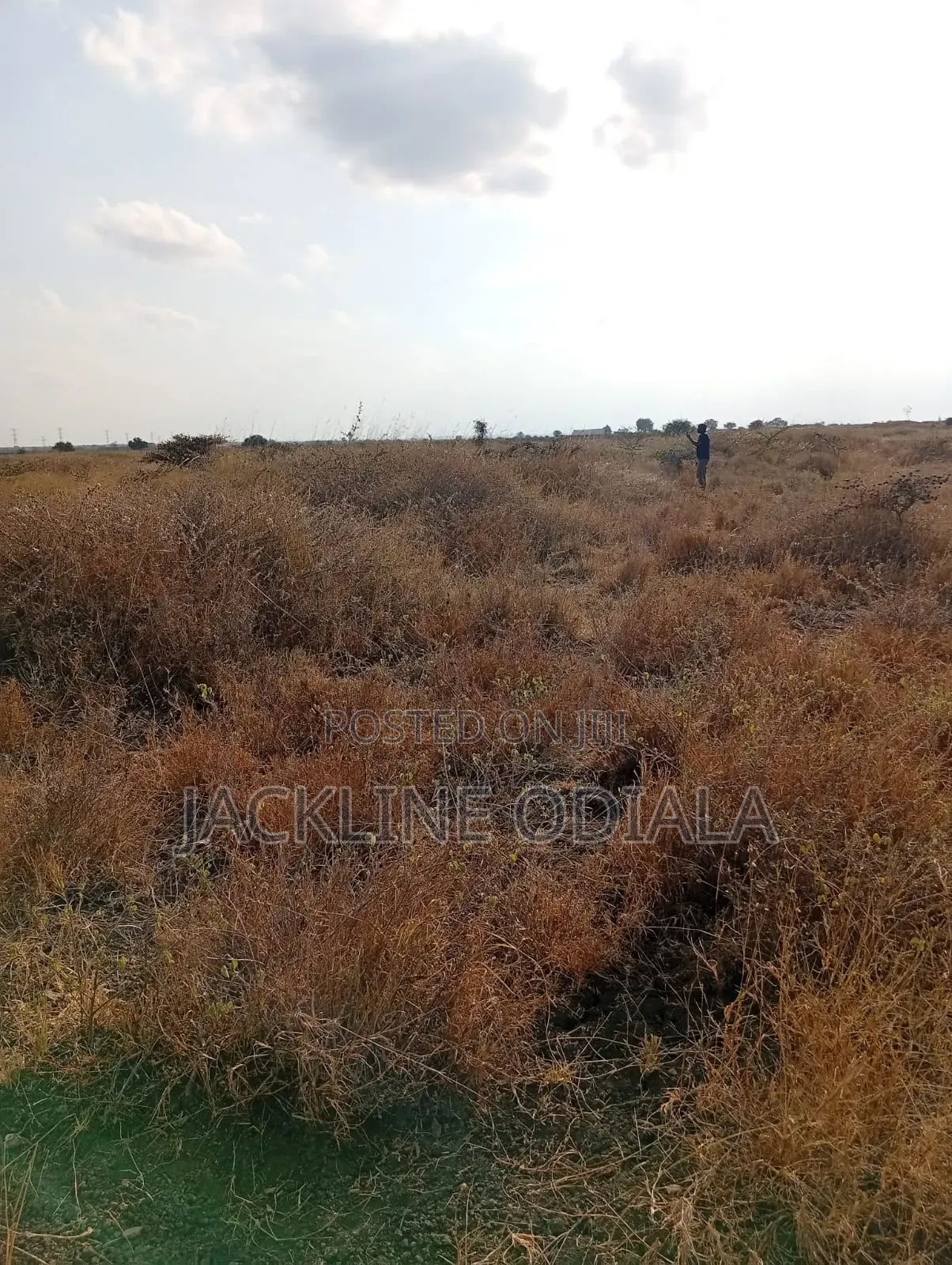 Plots for Sale in Isinya