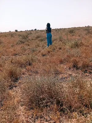 Plots for Sale in Isinya