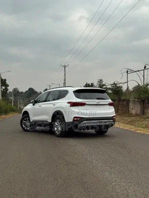 Hyundai Santa Fe 2019 White