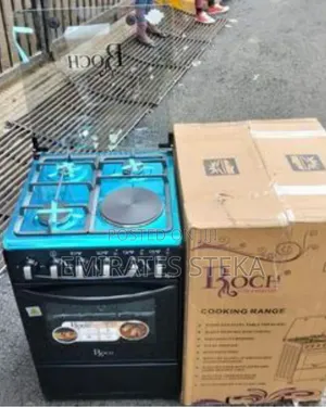 Roch 50×55 Standing 3+1 Cooker