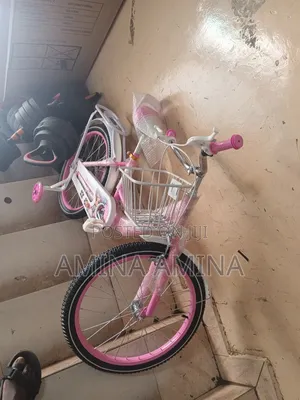 Size 20 Kids Bicycle With Training Wheels