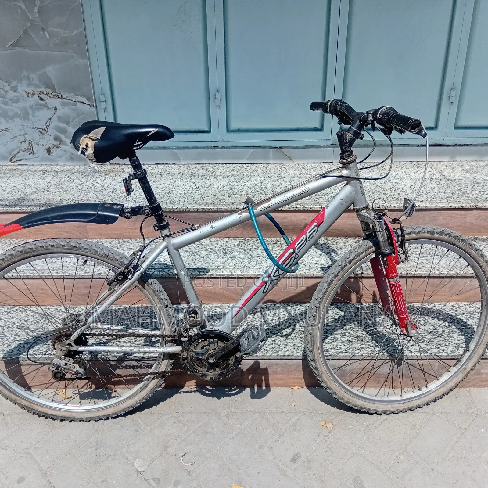 Mountain Bike