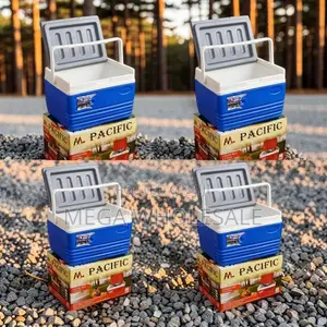 High Quality Premium-Finish 4.5L Handheld Portable Cooler Box Ice Box