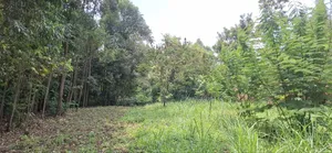 50 by 100 Joyland Webuye