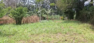 50 by 100 Joyland Webuye