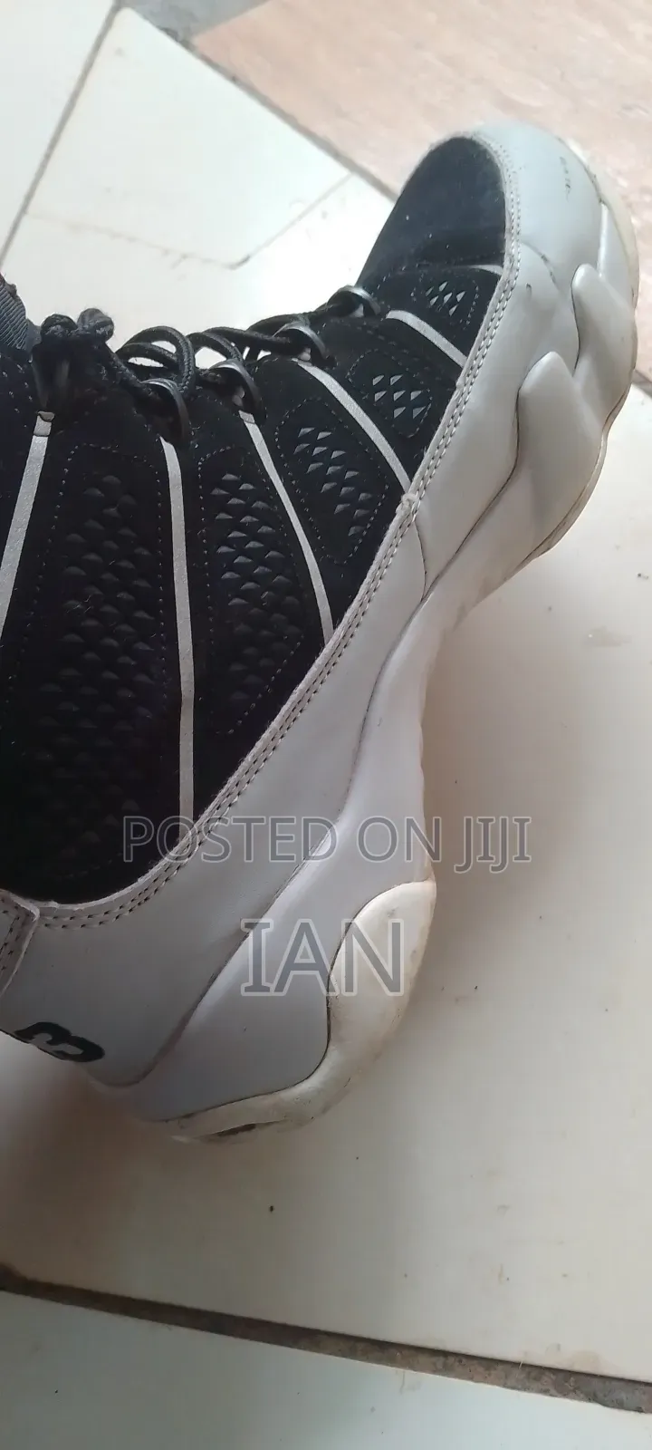 Air Jordan 13