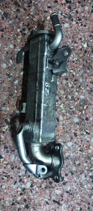 EGR Cooler Valve