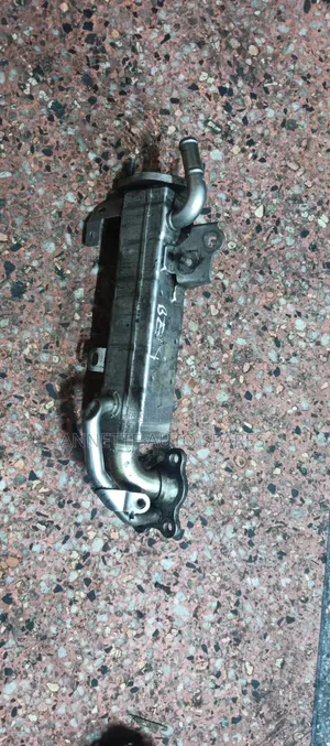 EGR Cooler Valve