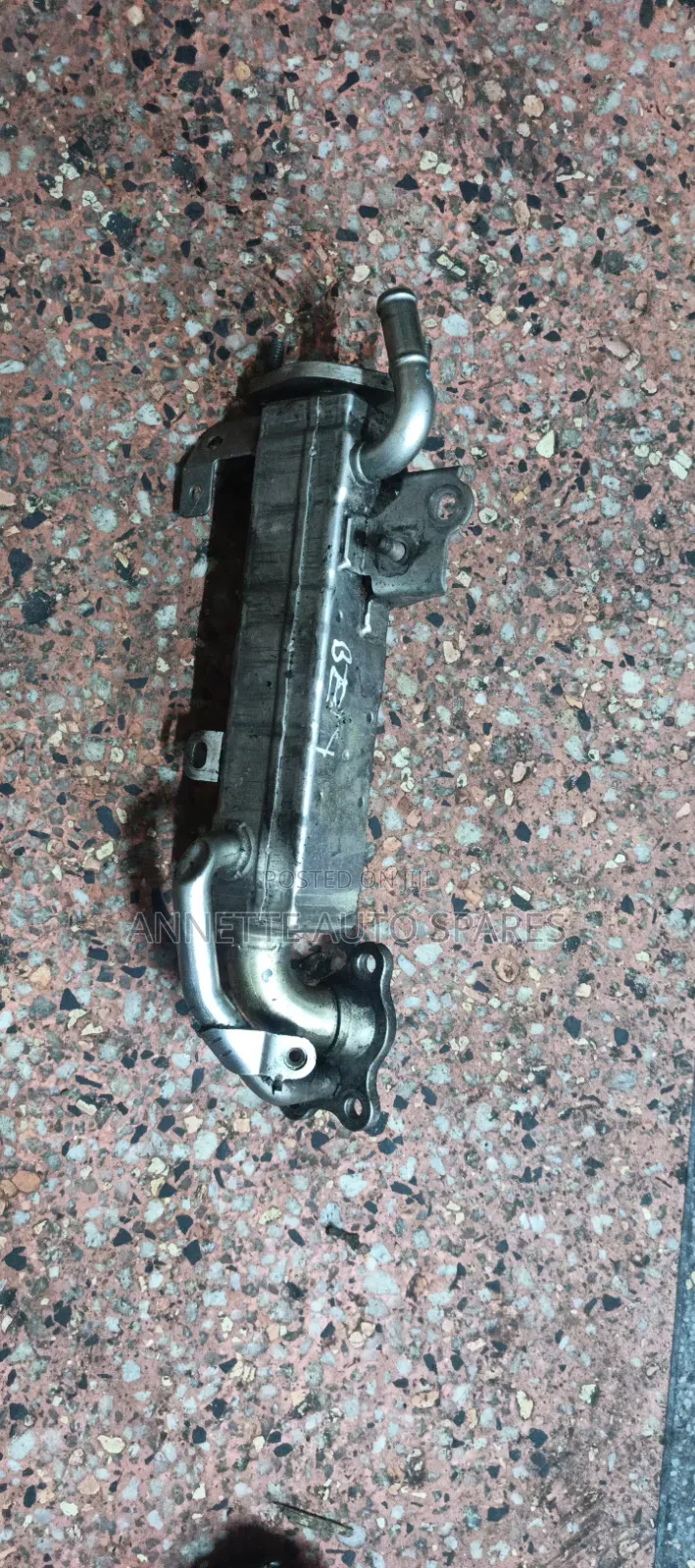 EGR Cooler Valve