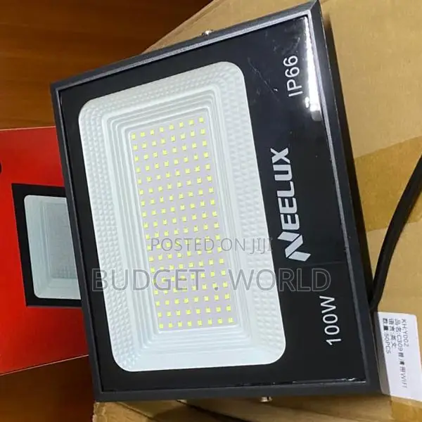 . Neelux 100W Outdoor LED Floodlight With Adjustable Bracket