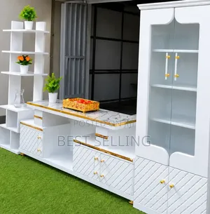 Modern TV Stand and Cabinet and Flowers Rack