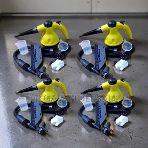 Factory Direct Prices 850W,1000W,1200W Portable Steam Cleaner Washers