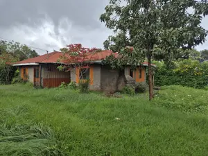 3bdrm Bungalow in Ngaita, Tinganga for sale