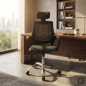 Office Chaoirs; Ergonomic Kaliste Chair