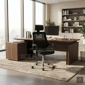 Office Chaoirs; Ergonomic Kaliste Chair