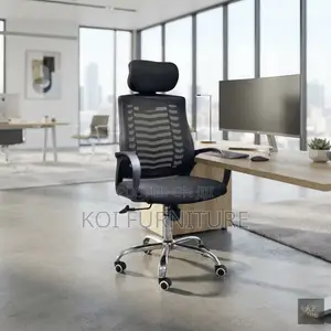 Office Chaoirs; Ergonomic Kaliste Chair