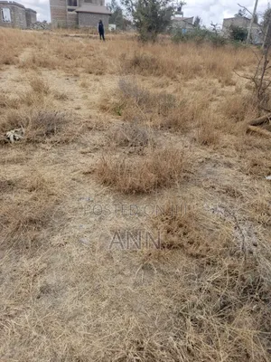 Malaa/Kwale Plot for Sale