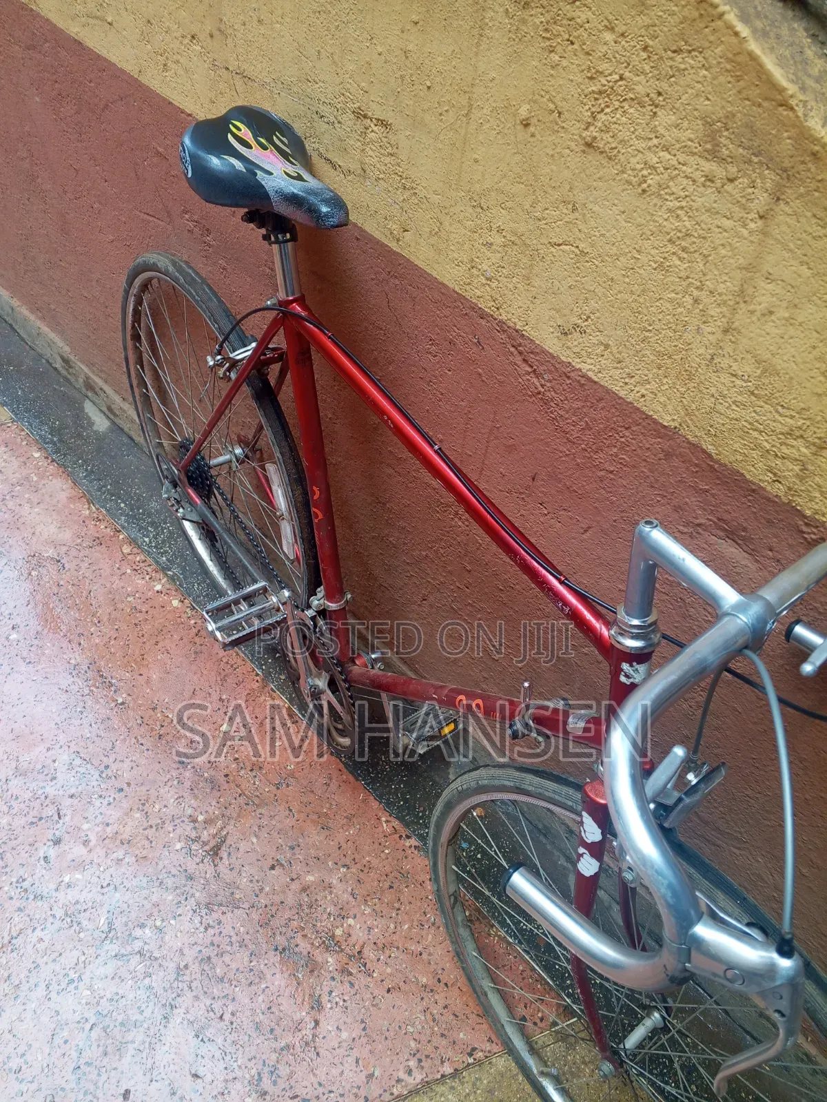 Schwinn Traveller Bike