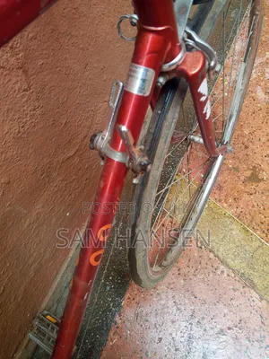Schwinn Traveller Bike