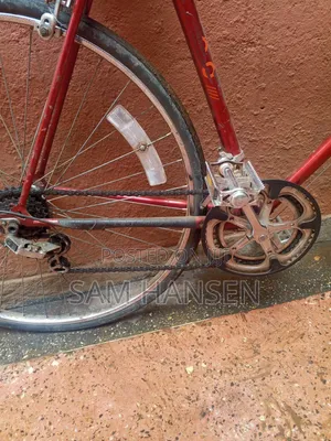 Schwinn Traveller Bike