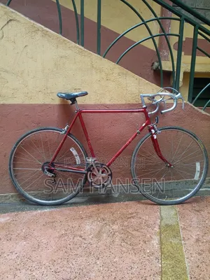 Schwinn Traveller Bike