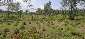 1 Acre Half MUSOKHO