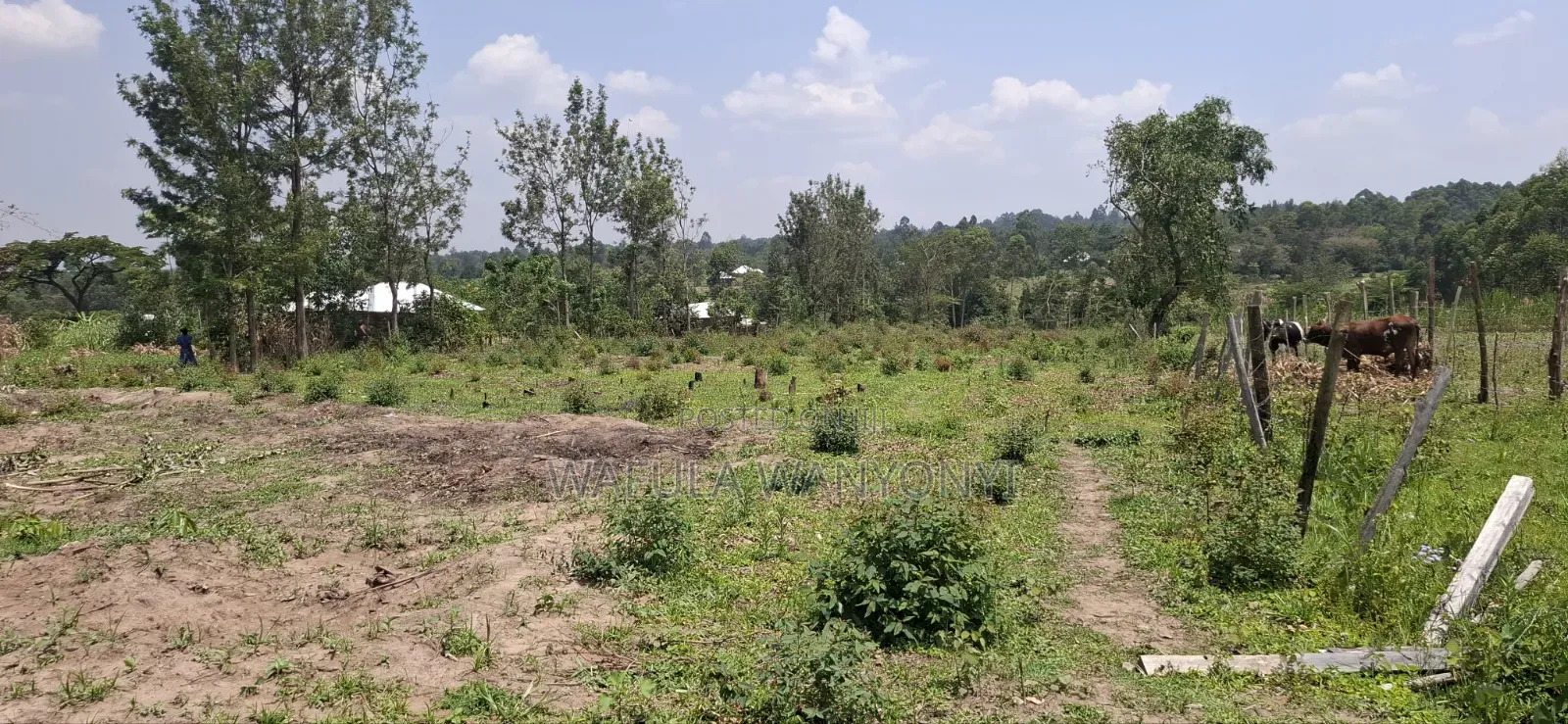 1 Acre Half MUSOKHO