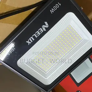 Neelux 100W LED Outdoor Flood Light With Adjustable Mount