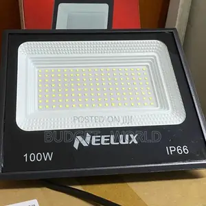 Neelux 100W IP66 Waterproof LED Flood Lamp