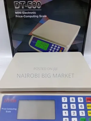 DT-580 30kgs Digital Price Computing Scale