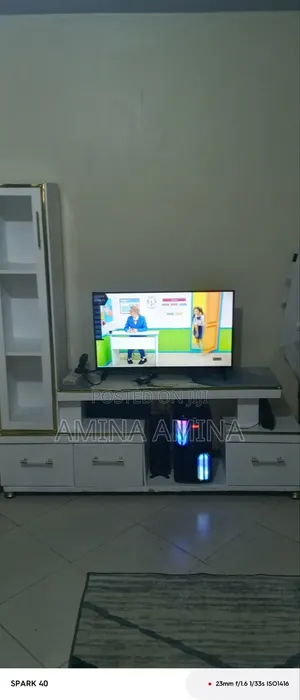 TV Mounting and Installation