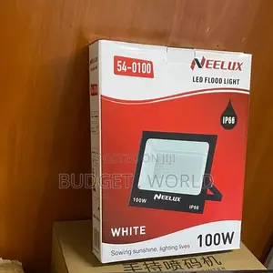 Neelux 100W IP66 Outdoor LED Flood Light