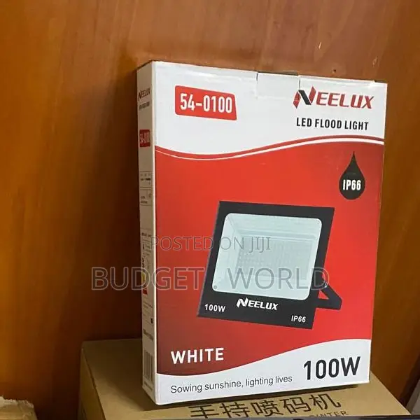 Neelux 100W IP66 Outdoor LED Flood Light